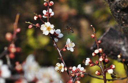 ?冬季雨水会比往年多吗?-今年冬天是暖冬吗 _