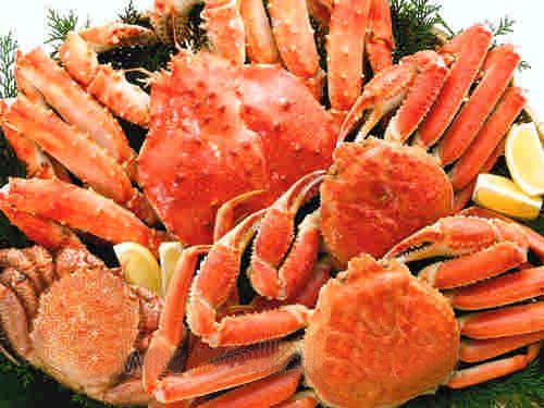 什么季节吃海鲜(虾,螃蟹)最好吃,要详细介绍什