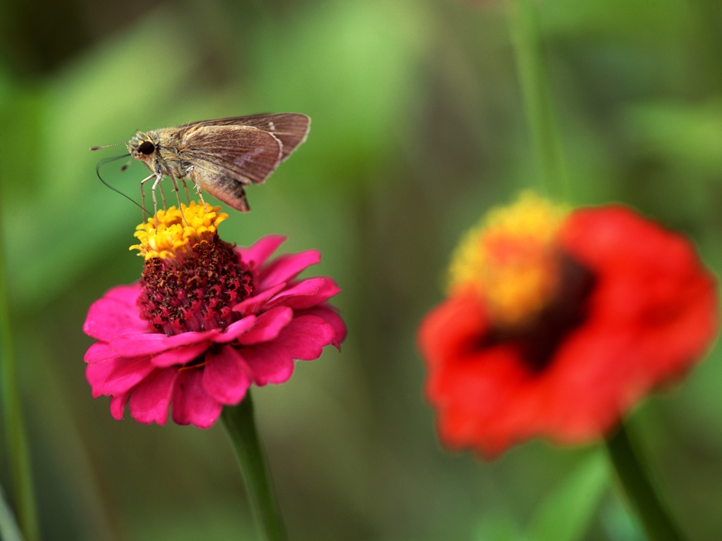 ����������