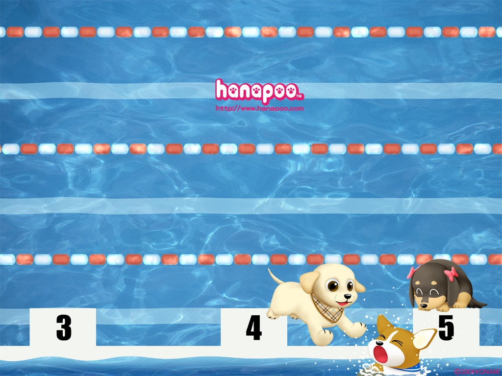 Hanapooϵо..