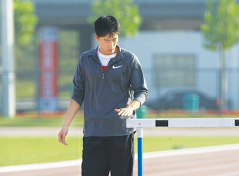 收入证明_刘翔总收入(2)