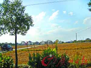 �Ϻ��⽨��ʿ����԰�ؿ鷿��ֱ��������