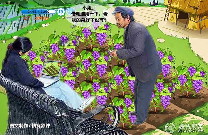 开心农场偷菜_开心网偷菜_偷青民俗变偷菜