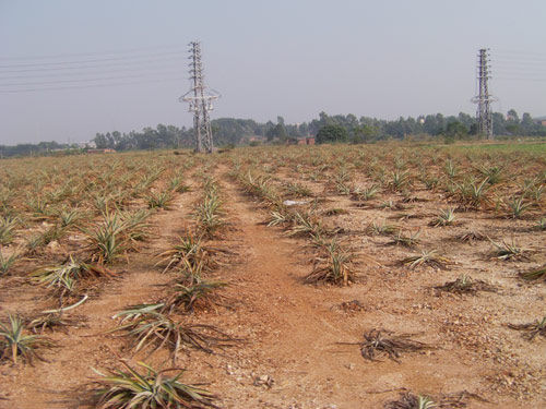 �������ò��ܸ��̣���ƭ���Ǽ��