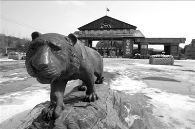 ��������԰3ֻ�ϻ�����Σ���ϰ屻��ת���ʽ�