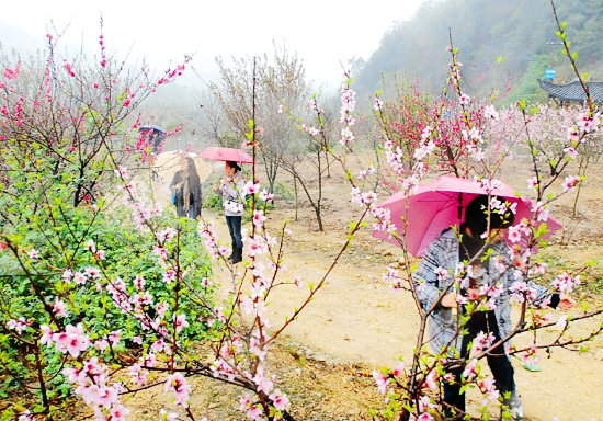 长塘桃花源生态旅游区