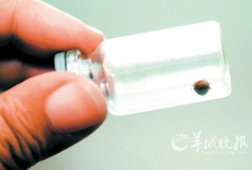 河南商城成蜱虫“重灾区” 疑媒体过度炒作
