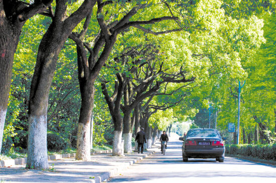 住在江滨路的居民傅大姐说:"在这里住了10多年,感觉城市环境越变越美