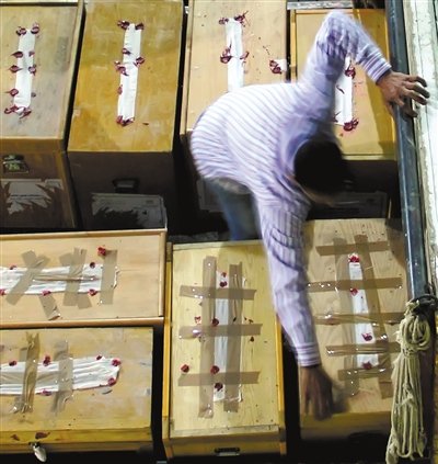 ��������ѡ��Ļ ��˹���������ֻ���(ͼ)