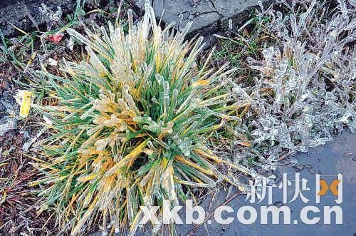 ���鱱�������붬����� ��·��ˮ�ɱ����鴺��