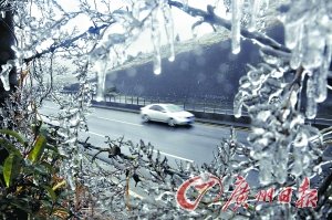 �������붬���������� ��ط���·���Ԥ��