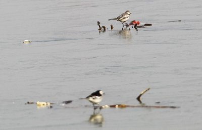 ���ӽ��ն�10�����״δ������� ���½���-8��