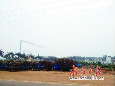 ����ÿ��ե֭�����ޣ����������ǳ�ǰ�����˸������䳵�� 