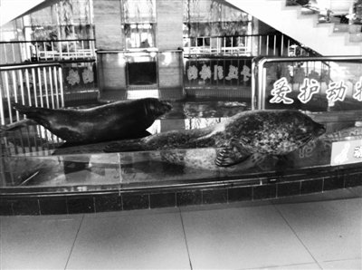 �������Ƶ�����������Ű������ ��Ӧ�ƽ�������