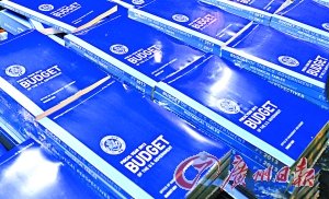 ����2013����Ԥ�㰸ϸ��