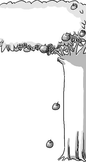 Ͼѧ110Уֲţٹƻ֦