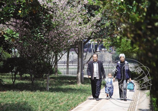 莫斯科人均绿地面积_小区人均公共绿地面积