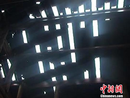 �����������ǿ���������ֲ��⺱�������Ϯ��