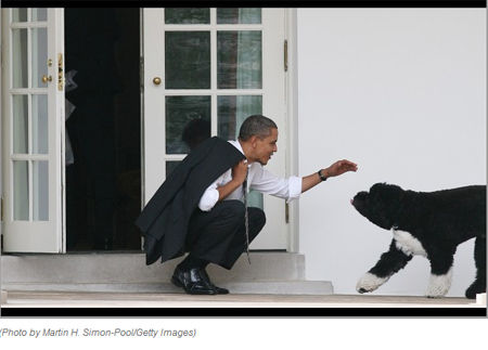 �°�����ѡ������ơ��׹���һ��������������