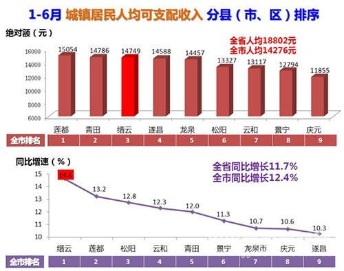收入支出表格模板_收入和支出的表格(2)