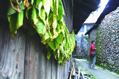 西部边陲古村落——富山乡决要村-黄岩新闻网