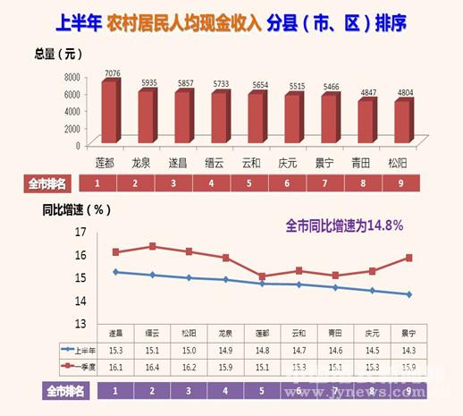 农民伯伯乡下妹_农民现金纯收入