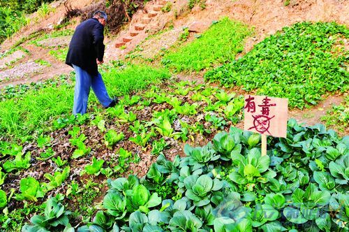 菜园里警示牌是无奈还是雷人