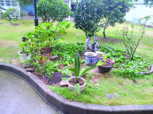 小区公共绿地改建私家花园风渐长-公共绿地