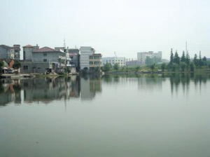 村口的大水塘