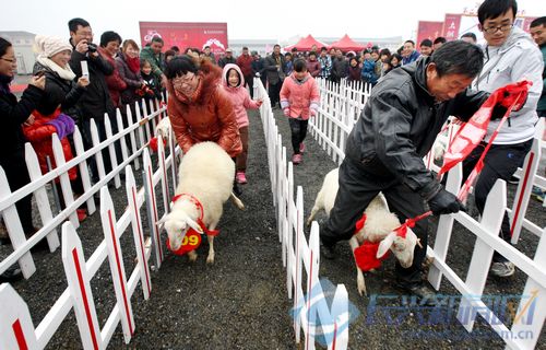 2012第二届吕山湖羊节今天开幕