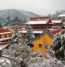 临安余杭山区积雪达到10厘米 北高峰青山绿树