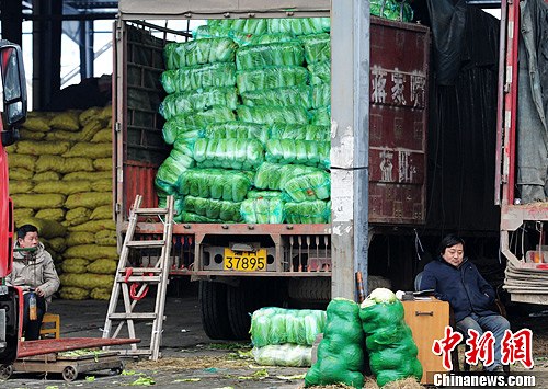 雨雪冰冻致长沙白菜滞销