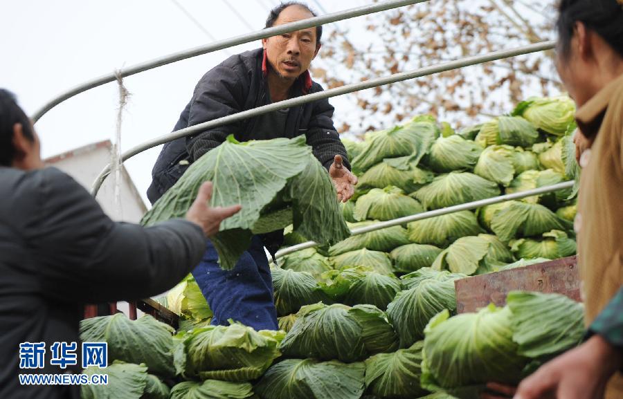 全国蔬菜价格持续上涨