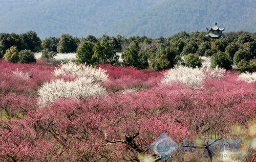 阿里汉执教创国足10年最佳战绩 胜率最高失球