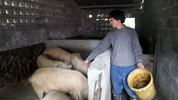 家庭农场里的致富经