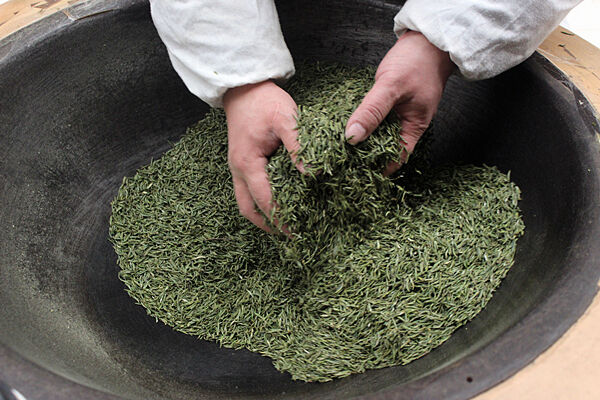 开化龙顶春茶上市--开化新闻网