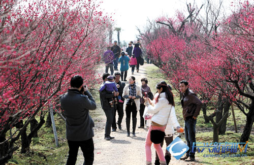 诺力机械获国家火炬计划 重点高新技术企业认