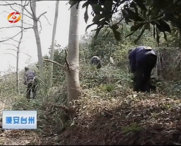 沙埠镇多少人口_北流隆盛镇有多少人口(2)