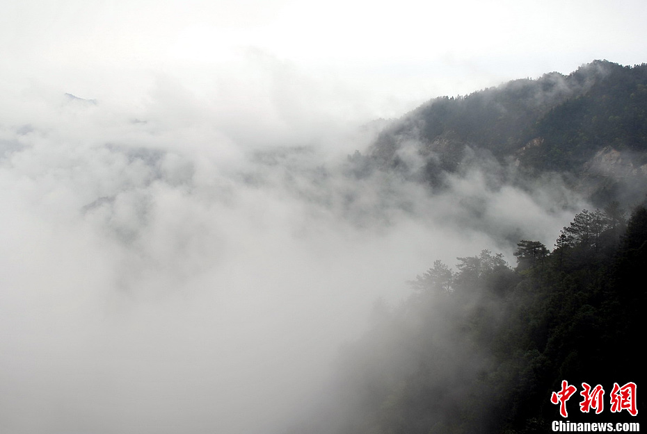 井冈山现壮观云海美景