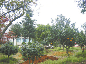 鞍山绿化老总_鞍山师范学院(3)