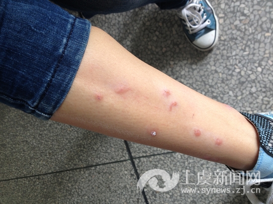 五名志愿者返虞:我们的心,仍在雅安--上虞新闻