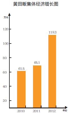 村集体经济规划_集体经济总收入