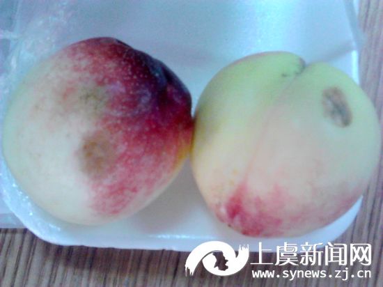 盒装油桃,有一半是伤员--上虞新闻网