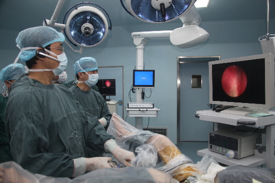 嘉兴一院邀请上海专家进行省内首例铥激光前列腺剜除术演示-进行了,前列腺切除术,120w-柯城新闻网