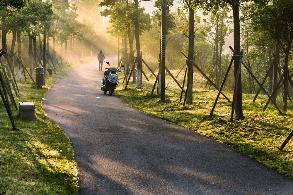 晨间小路