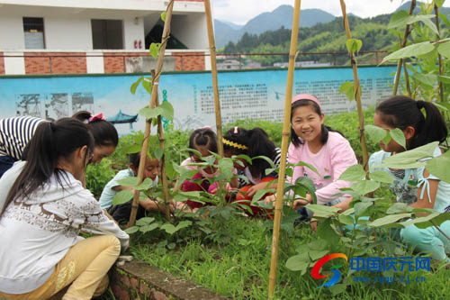 城东小学校园版"开心农场"