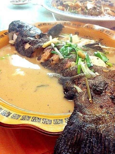 桂鱼高清图片_桂鱼图片_松鼠桂鱼图片_鹊桥吧