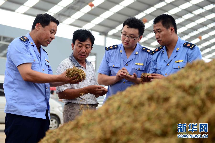 金银花开“金银”来