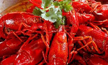 小龙虾体内重金属超标?--中国庆元网