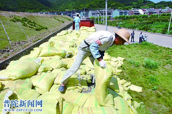 六横新增培肥土地4000亩